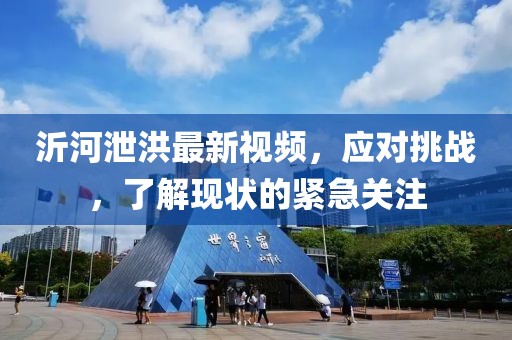 沂河泄洪最新视频