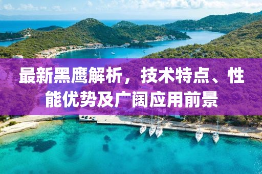 最新黑鹰解析，技术特点、性能优势及广阔应用前景
