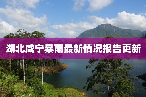 湖北咸宁暴雨最新