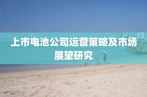 上市电池公司运营策略及市场展望研究