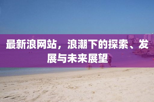 最新浪网站，浪潮下的探索、发展与未来展望
