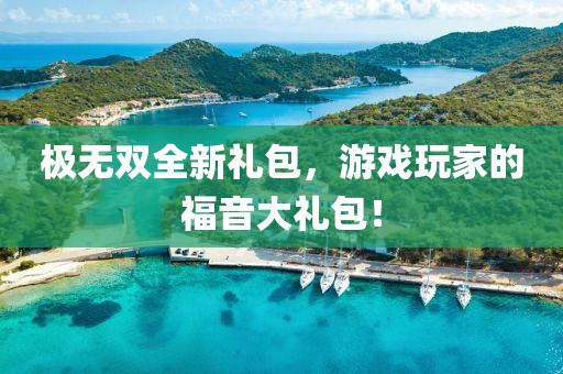 极无双全新礼包，游戏玩家的福音大礼包！