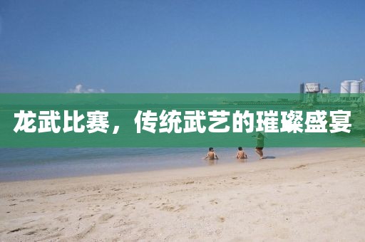 龙武比赛，传统武艺的璀璨盛宴