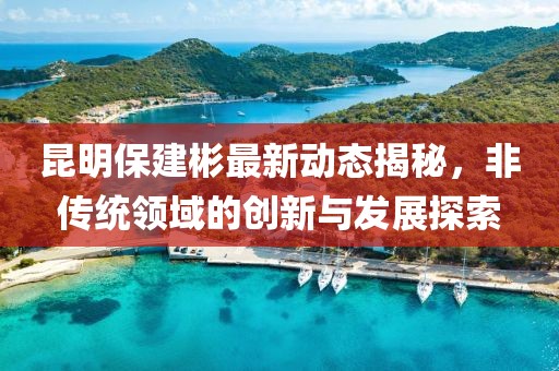 昆明保建彬最新动态揭秘，非传统领域的创新与发展探索