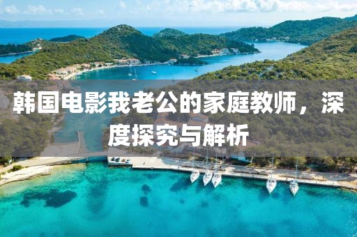 韩国电影我老公的家庭教师，深度探究与解析