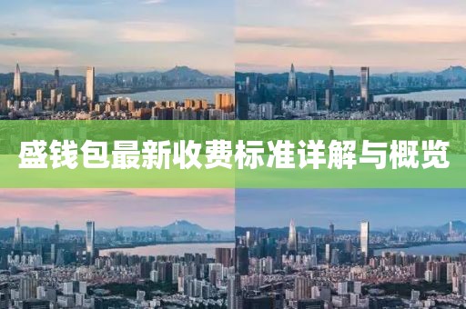 盛钱包最新收费标准详解与概览