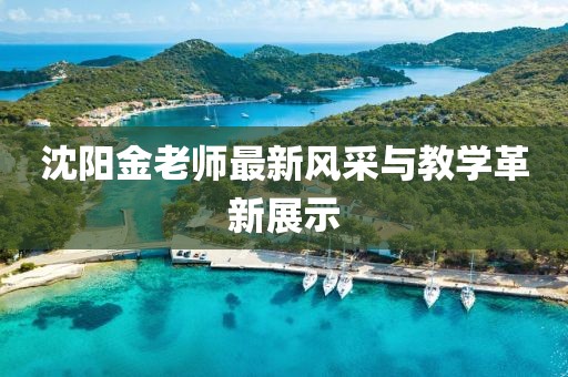 沈阳金老师最新