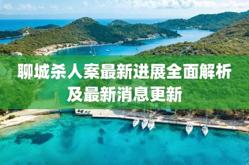 聊城杀人案最新进展全面解析及最新消息更新