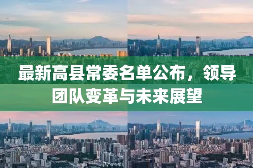 最新高县常委名单公布，领导团队变革与未来展望