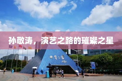 孙敬涛，演艺之路的璀璨之星