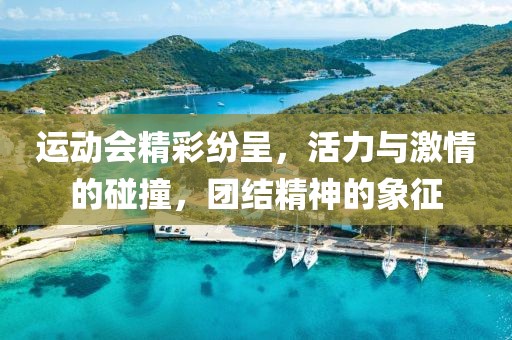 运动会精彩纷呈，活力与激情的碰撞，团结精神的象征