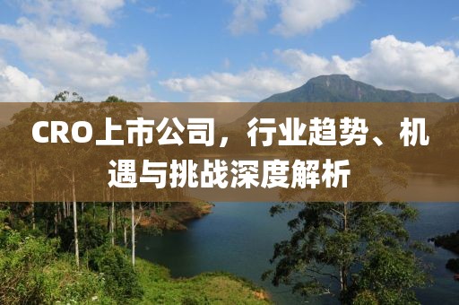 CRO上市公司，行业趋势、机遇与挑战深度解析