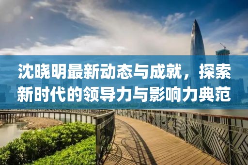 沈晓明最新