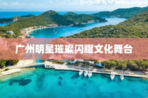 广州明星璀璨闪耀文化舞台