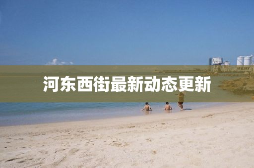 河东西街最新动态更新