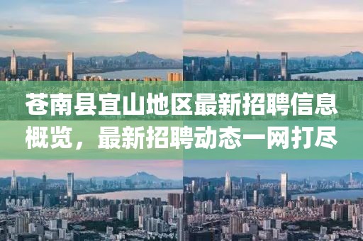 苍南县宜山地区最新招聘信息概览，最新招聘动态一网打尽