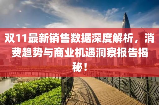 双11最新销售数据深度解析，消费趋势与商业机遇洞察报告揭秘！