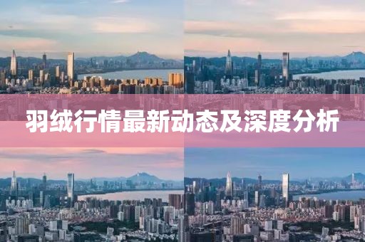羽绒行情最新动态及深度分析