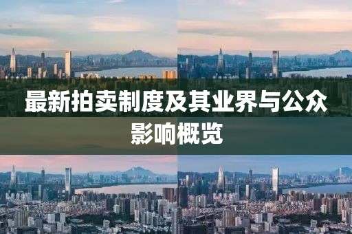 最新拍卖制度及其业界与公众影响概览