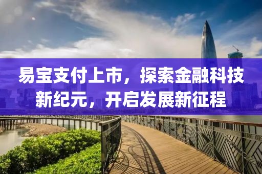 易宝支付上市，探索金融科技新纪元，开启发展新征程