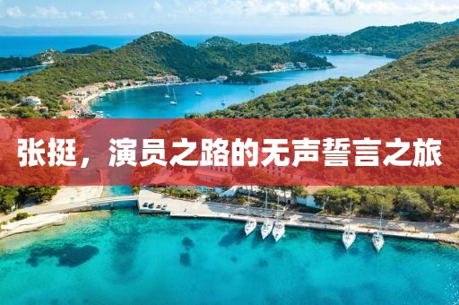 张挺，演员之路的无声誓言之旅