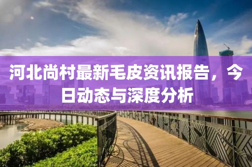 河北尚村最新毛皮资讯报告，今日动态与深度分析