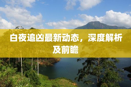 白夜追凶最新动态，深度解析及前瞻