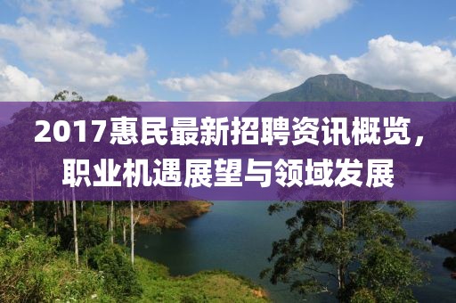 2017惠民最新招聘资讯概览，职业机遇展望与领域发展