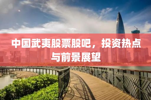 中国武夷股票股吧，投资热点与前景展望