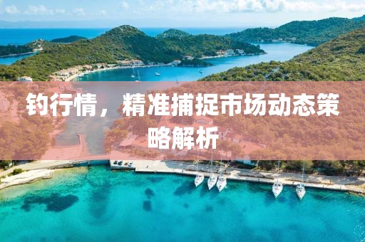 钓行情，精准捕捉市场动态策略解析