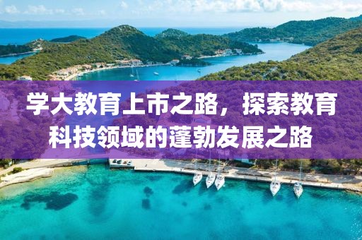 学大教育上市之路，探索教育科技领域的蓬勃发展之路