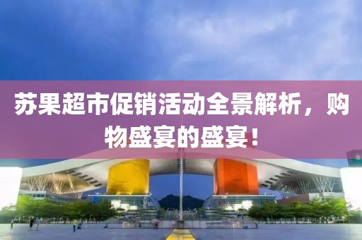 苏果超市促销活动全景解析，购物盛宴的盛宴！