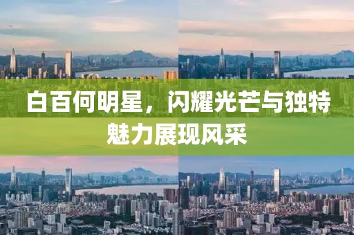 白百何明星，闪耀光芒与独特魅力展现风采