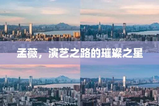 孟薇，演艺之路的璀璨之星