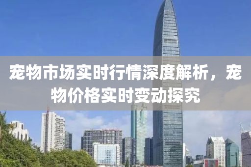 宠物市场实时行情深度解析，宠物价格实时变动探究