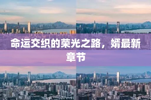 婿最新章节