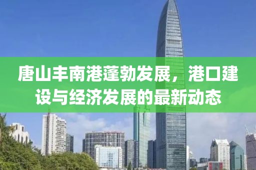 唐山丰南港蓬勃发展，港口建设与经济发展的最新动态