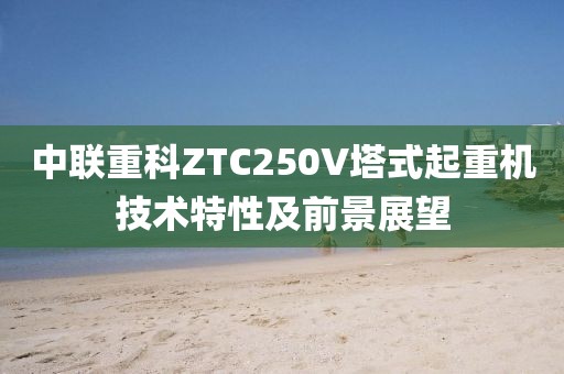 中联重科ZTC250V塔式起重机技术特性及前景展望