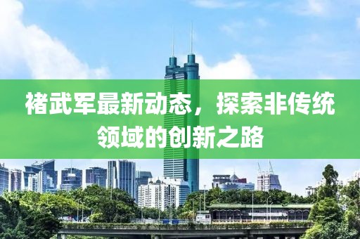 褚武军最新动态，探索非传统领域的创新之路