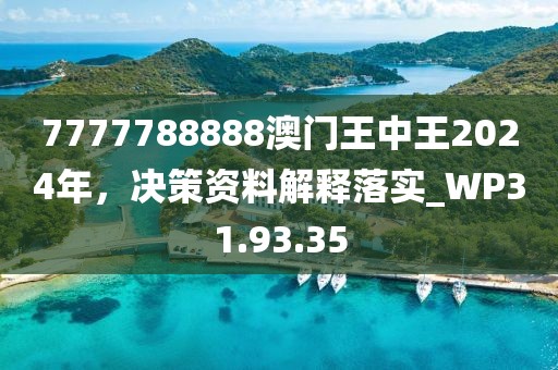 7777788888澳门王中王2024年，决策资料解释落实_WP31.93.35