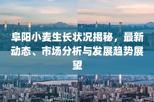 阜阳小麦生长状况揭秘，最新动态、市场分析与发展趋势展望