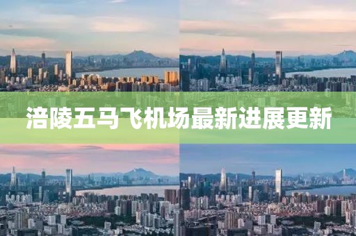 涪陵五马飞机场最新进展更新