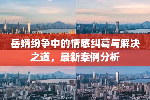 最新岳婿乱