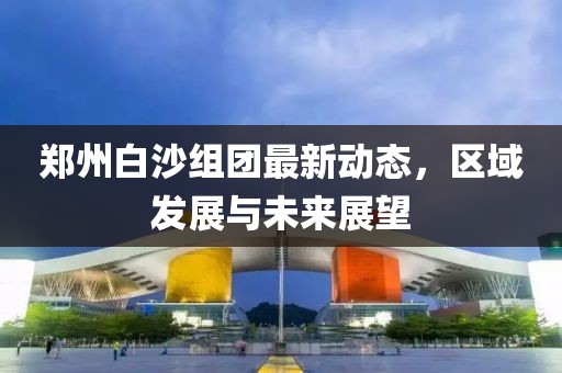 郑州白沙组团最新动态，区域发展与未来展望