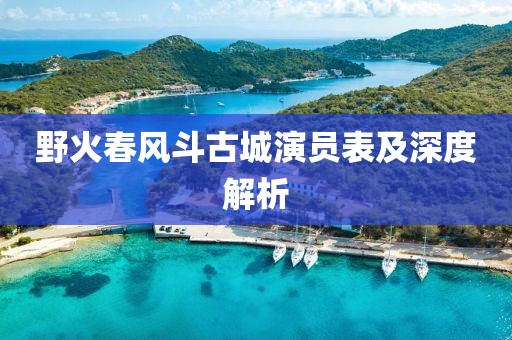 野火春风斗古城演员表及深度解析