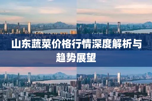 山东蔬菜价格行情深度解析与趋势展望
