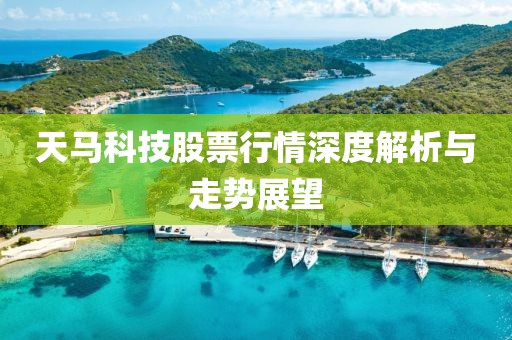 天马科技股票行情深度解析与走势展望
