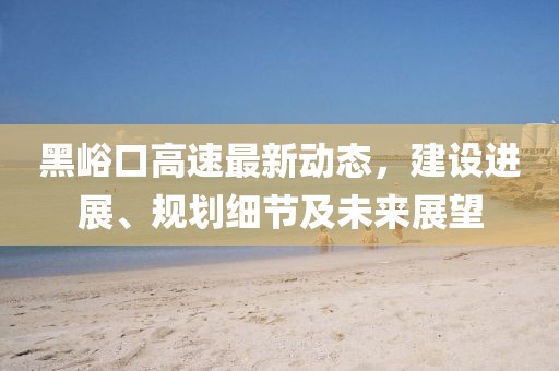 黑峪口高速最新动态，建设进展、规划细节及未来展望