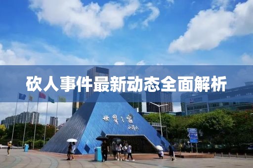 砍人事件最新动态全面解析