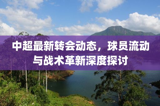 中超最新转会动态，球员流动与战术革新深度探讨